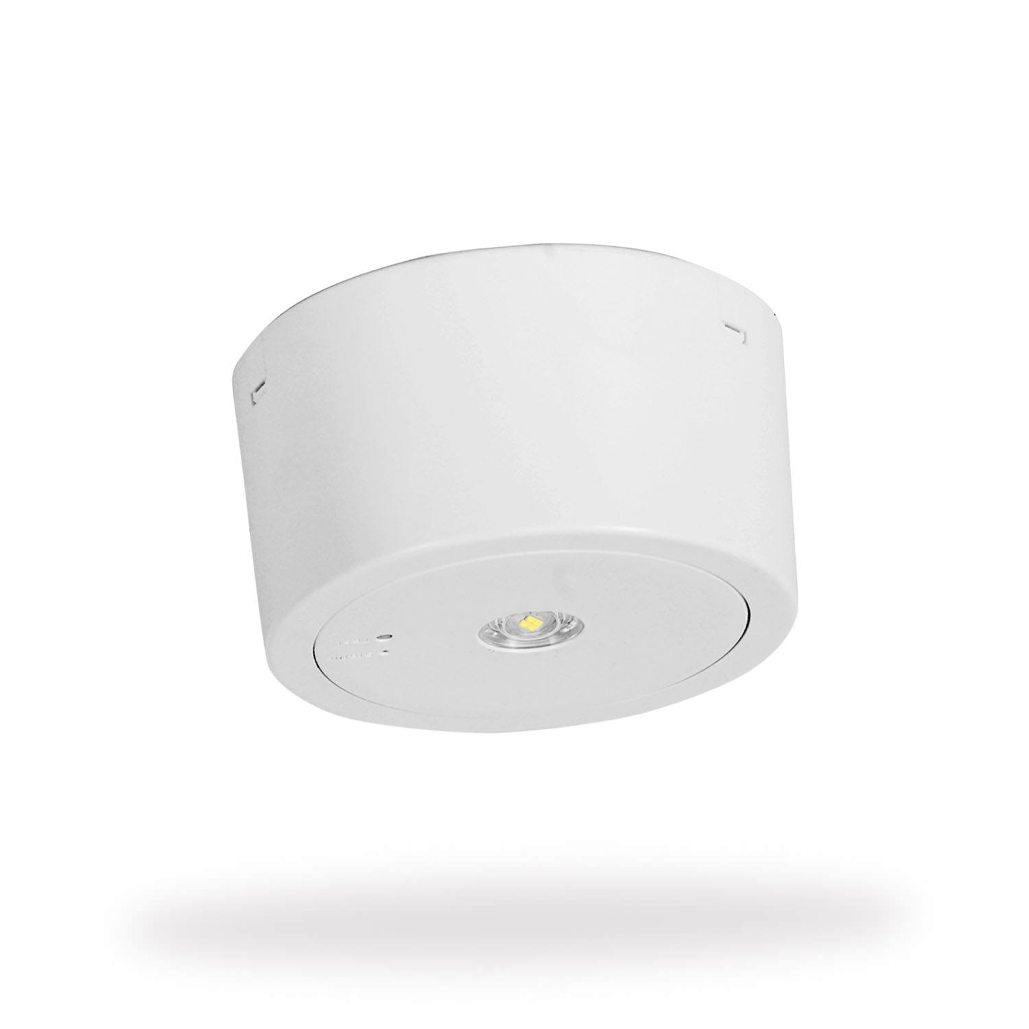 Nifty Lifelight Surface Mount